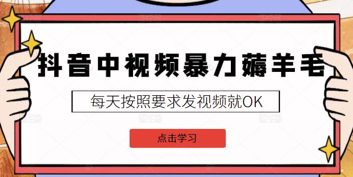 2022抖音中视频暴力薅羊毛白嫖项目：新号每天20块，老号几天几百块，可多号￼-氚客吧
