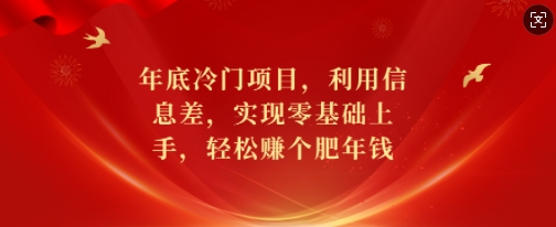 年底冷门项目，利用信息差，实现零基础上手，轻松赚个肥年钱【揭秘】-氚客吧