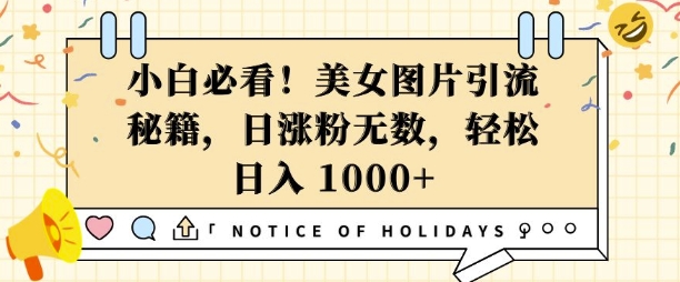小白必看，美女图片引流秘籍，日涨粉无数，轻松日入几张【揭秘】-氚客吧