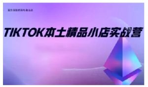 TikTok本土精品小店出海实战营，从入门到高阶，不止0-1!-氚客吧