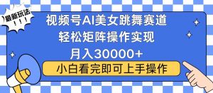 视频号蓝海赛道玩法，当天起号，拉爆流量收益，小白也能轻松月入30000+-氚客吧