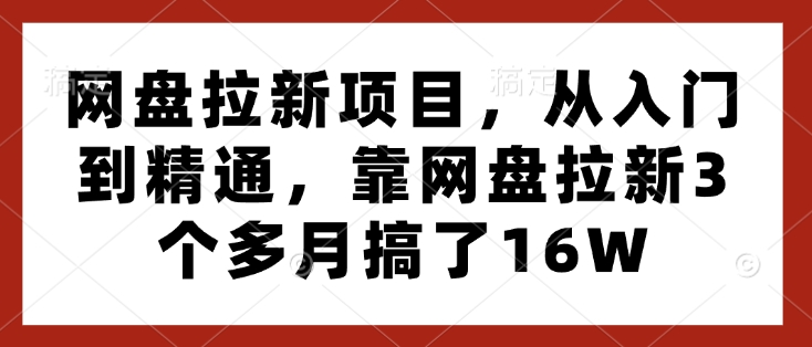 网盘拉新项目，从入门到精通，靠网盘拉新3个多月搞了16W-氚客吧