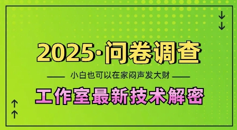 2025问卷调查最新工作室技术解密：一个人在家也可以闷声发大财，小白一天2张，可矩阵放大【揭秘】-氚客吧