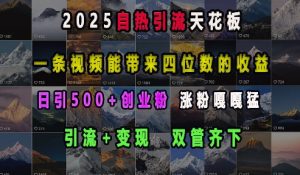 2025自热引流天花板，一条视频能带来四位数的收益，引流+变现双管齐下，日引500+创业粉，涨粉嘎嘎猛-氚客吧