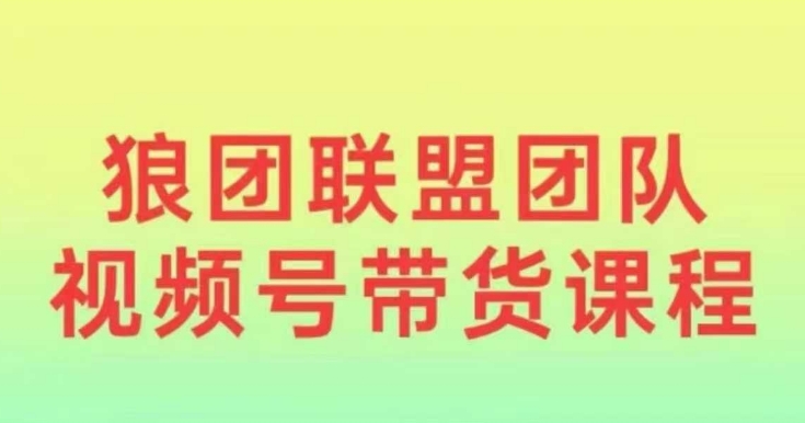 狼团联盟2024视频号带货，0基础小白快速入局视频号-氚客吧