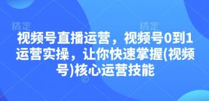 视频号直播运营，视频号0到1运营实操，让你快速掌握(视频号)核心运营技能-氚客吧
