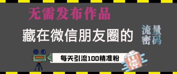 藏在微信朋友圈的流量密码，无需发布作品，单日引流100+精准创业粉【揭秘】-氚客吧