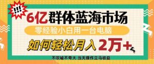 6亿群体蓝海市场，零经验小白用一台电脑，如何轻松月入过w【揭秘】-氚客吧