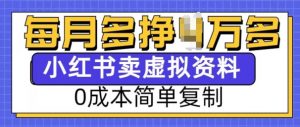 小红书虚拟资料项目，0成本简单复制，每个月多挣1W【揭秘】-氚客吧