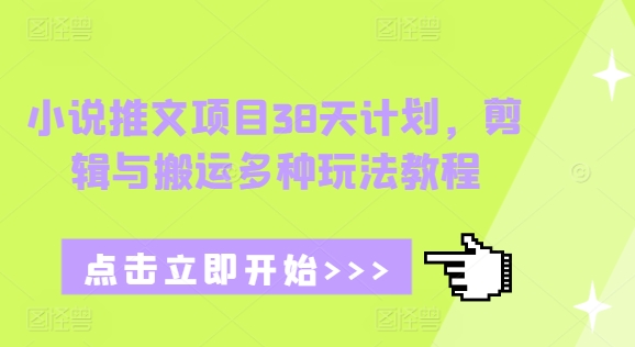 小说推文项目38天计划，剪辑与搬运多种玩法教程-氚客吧