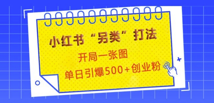 小红书“另类”打法，开局一张图，单日引爆500+精准创业粉【揭秘】-氚客吧