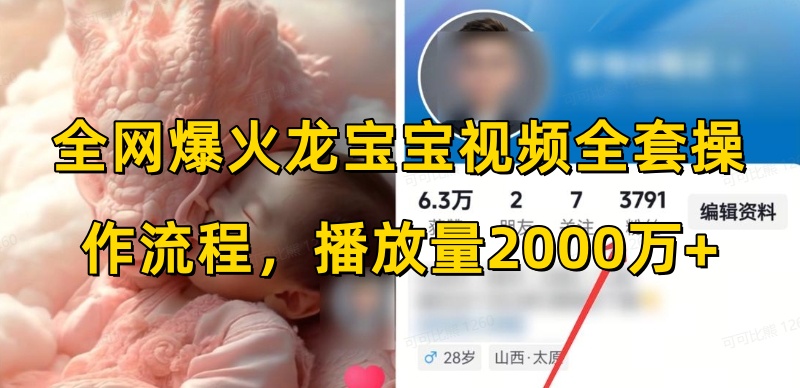 全网爆火龙宝宝视频全套操作流程，播放量2000万+-氚客吧