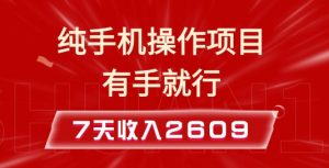 纯手机操作的小项目，有手就能做，7天收入2609+实操教程【揭秘】-氚客吧