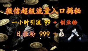 微信超级流量入口揭秘：一小时引流 99 + 创业粉，日涨粉 999 +-氚客吧