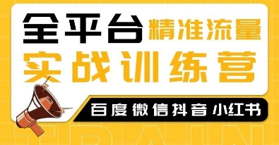 全平台精准流量实战训练营，百度微信抖音小红书SEO引流教程-氚客吧