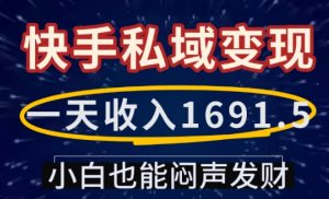 一天收入1691.5，快手私域变现，小白也能闷声发财-氚客吧