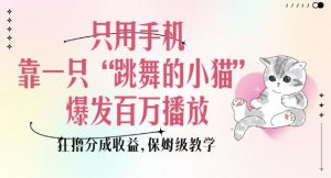 只用手机靠一只“跳舞的小猫”爆发百万播放，狂撸分成收益，保姆级教学-氚客吧