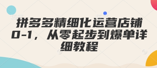 拼多多精细化运营店铺0-1，从零起步到爆单详细教程-氚客吧