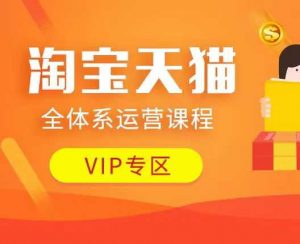 淘宝天猫全体系运营课程：店铺全系运营、动销玩法、付费推广、流量提升、擦边球玩法等等-氚客吧