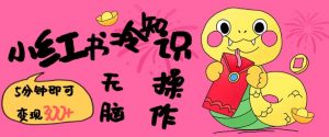 小红书冷知识账号，无脑复制粘贴，5分钟即可变现3张-氚客吧