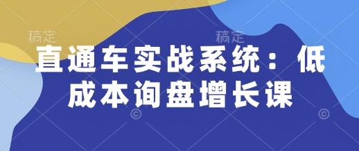 直通车实战系统：低成本询盘增长课，让个人通过技能实现升职加薪，让企业低成本获客，订单源源不断-氚客吧
