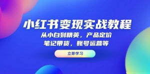 小红书变现实战教程：从小白到精英，产品定价，笔记带货，账号运营等-氚客吧