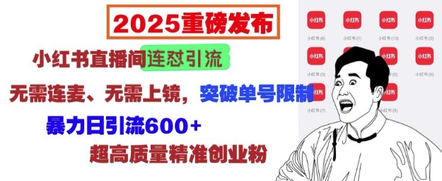 2025重磅发布：小红书直播间连怼引流，无需连麦、无需上镜，突破单号限制，暴力日引流600+-氚客吧