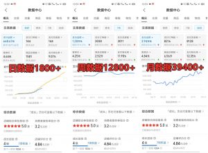 拼多多虚拟店铺项目，电脑挂机自动发货，单店日利润300+-氚客吧