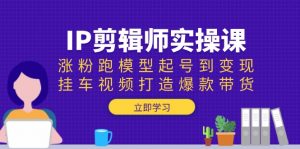 IP剪辑师实操课：涨粉跑模型起号到变现，挂车视频打造爆款带货-氚客吧