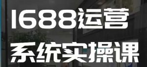 1688高阶运营系统实操课，快速掌握1688店铺运营的核心玩法-氚客吧