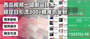 西瓜视频一键搬运技术，稳定日引流300+精准创业粉，简单可复制给团队，...-氚客吧