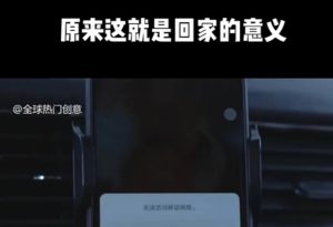 利用春节风口，制作热点视频，多种玩法类型，新手也能轻松变现！-氚客吧