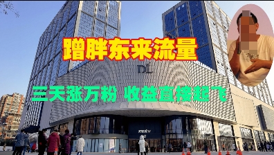 蹭胖东来流量，三天涨万粉，收益直接起飞-氚客吧