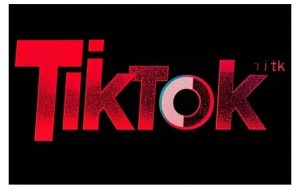 TikTok ads投流秘籍，涵盖tiktok整体投放思路，教你搭建测试计划-氚客吧