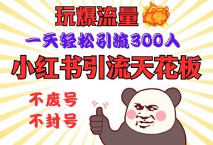 小红书引流天花板，玩爆流量，一天轻松引流300人，安全操作-氚客吧