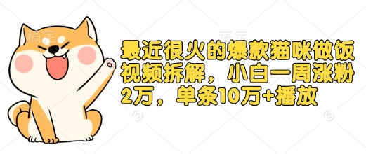 最近很火的爆款猫咪做饭视频拆解，小白一周涨粉2万，单条10万+播放(附保姆级教程)-氚客吧