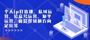 个人ip打造课，私域运营，公众号运营，知乎运营，底层逻辑和方向定位等-氚客吧