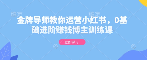 金牌导师教你运营小红书，0基础进阶赚钱博主训练课-氚客吧