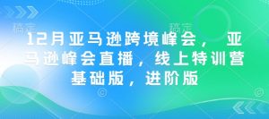 12月亚马逊跨境峰会， 亚马逊峰会直播，线上特训营基础版，进阶版-氚客吧