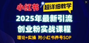 2025年最新小红书引流创业粉实战课程【超详细教学】小白轻松上手，月入1W+，附小红书养号SOP-氚客吧