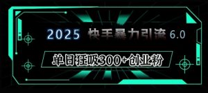 2025年快手6.0保姆级教程震撼来袭，单日狂吸300+精准创业粉-氚客吧