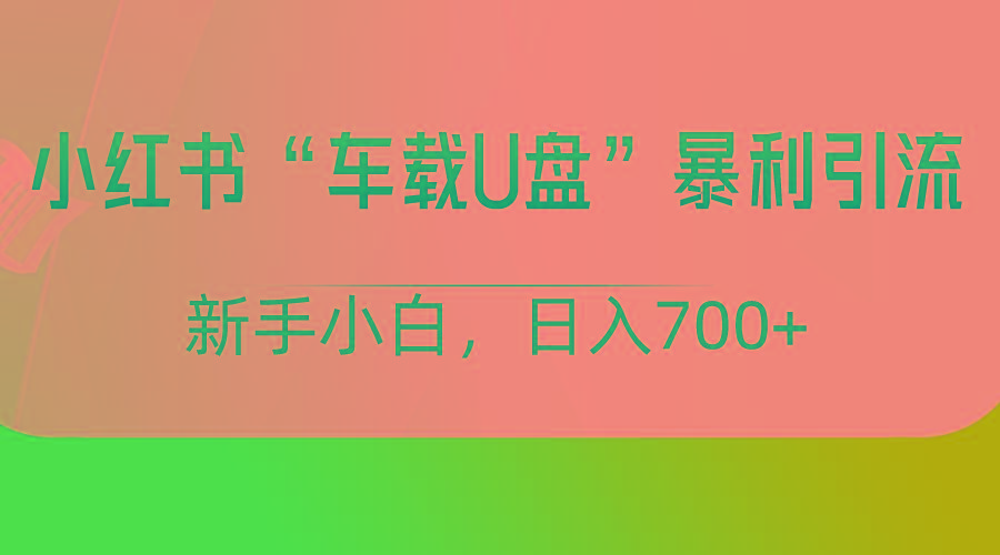 小红书“车载U盘”项目，暴利引流，新手小白轻松日入700+-氚客吧