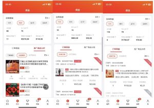 2025最新京东蓝海项目，0 门槛日入 1k+，小白宝妈轻松上手【揭秘】-氚客吧