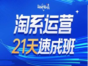 淘系运营21天速成班35期，年前最后一波和2025方向-氚客吧