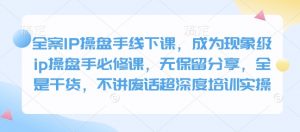 全案IP操盘手线下课，成为现象级ip操盘手必修课，无保留分享，全是干货，不讲废话超深度培训实操-氚客吧