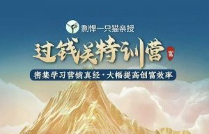 剽悍一只猫-过钱关特训营，学习营销真经 大幅度提高创富效率-氚客吧