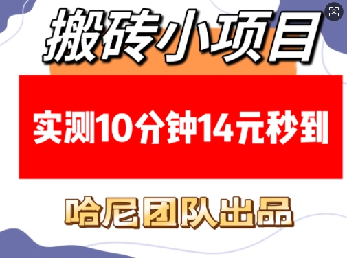 搬砖小项目，实测10分钟14元秒到，每天稳定几张(赠送必看稳定)-氚客吧