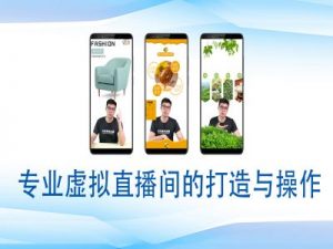 个人虚拟直播间的搭建与操作，专业虚拟直播间的打造与操作-氚客吧