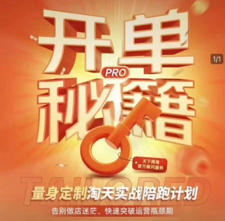 淘宝开单秘籍PRO，量身定制淘天实战陪跑计划，告别做店迷茫、快速突破运营瓶颈期-氚客吧