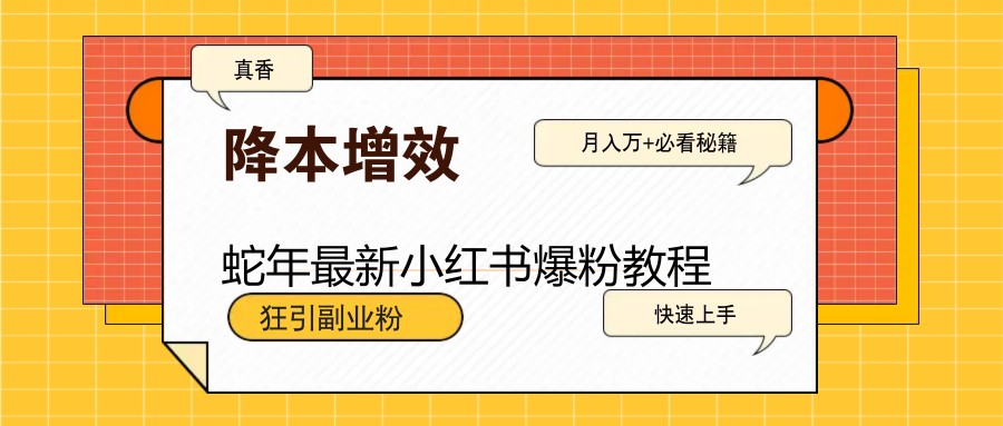 蛇年最新小红书爆粉教程，狂引副业粉，月入万+必看-氚客吧
